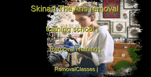 Skinart The Ans removal training school | RemovalTraining | RemovalClasses | SkinartTraining-Belgium
